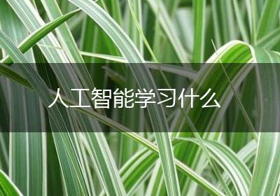 人工智能学习什么