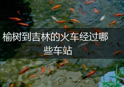 榆树到吉林的火车经过哪些车站