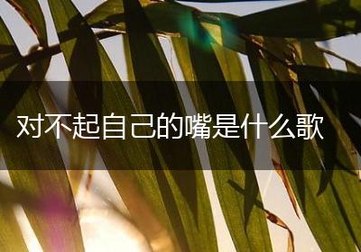 对不起自己的嘴是什么歌