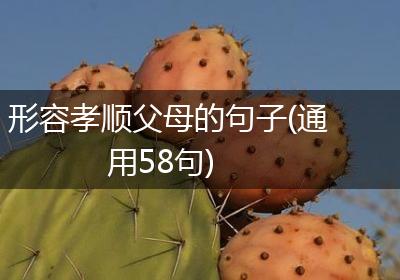 形容孝顺父母的句子(通用58句)