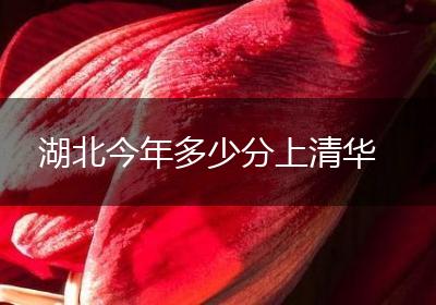 湖北今年多少分上清华