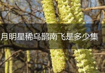 月明星稀乌鹊南飞是多少集