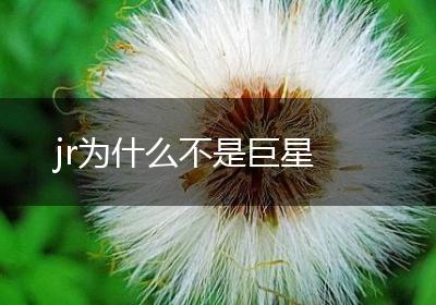 jr为什么不是巨星