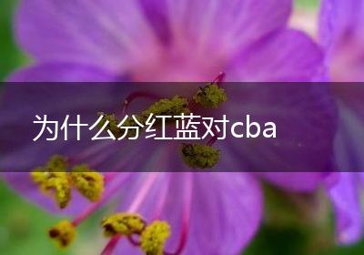 为什么分红蓝对cba