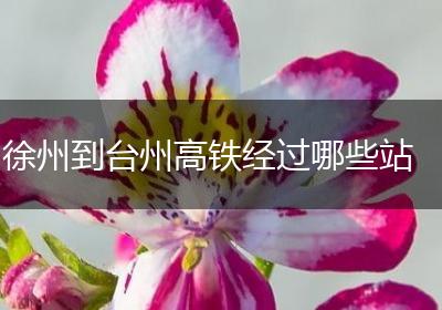 徐州到台州高铁经过哪些站