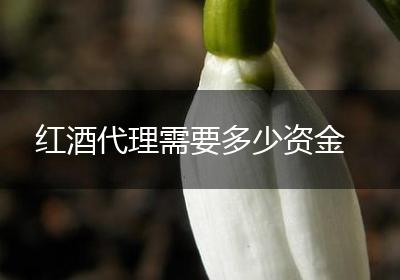 红酒代理需要多少资金