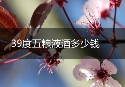 39度五粮液酒多少钱