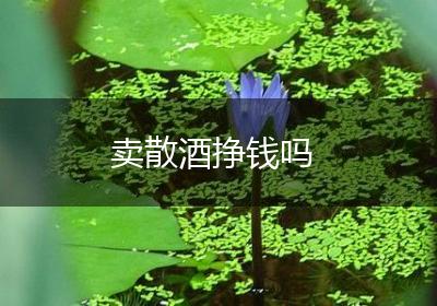 卖散酒挣钱吗
