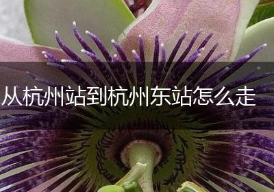 从杭州站到杭州东站怎么走