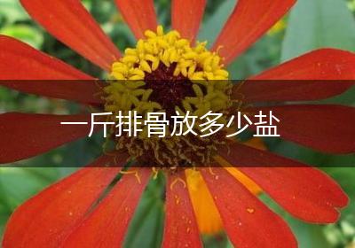 一斤排骨放多少盐