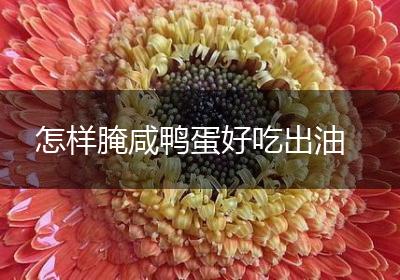 怎样腌咸鸭蛋好吃出油