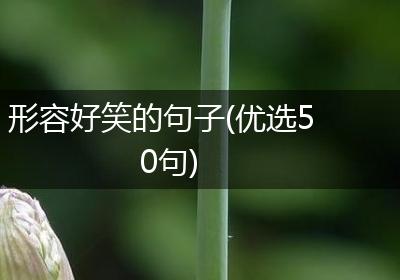 形容好笑的句子(优选50句)