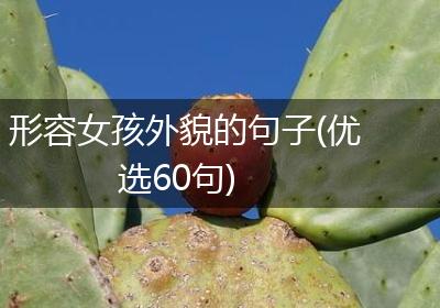 形容女孩外貌的句子(优选60句)