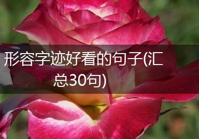 形容字迹好看的句子(汇总30句)