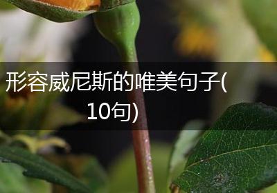 形容威尼斯的唯美句子(10句)