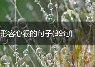 形容心狠的句子(39句)