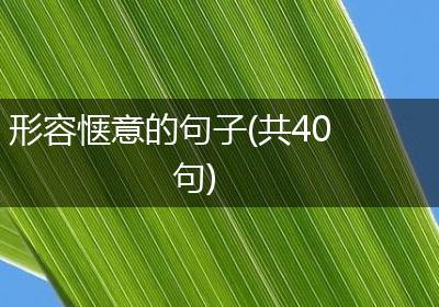 形容惬意的句子(共40句)