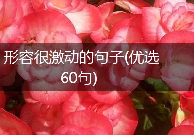 形容很激动的句子(优选60句)
