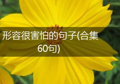 形容很害怕的句子(合集60句)