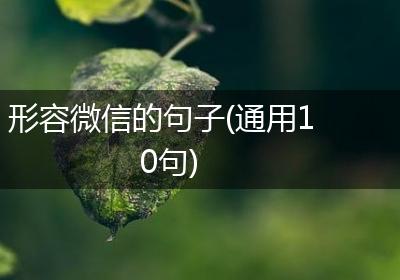 形容微信的句子(通用10句)