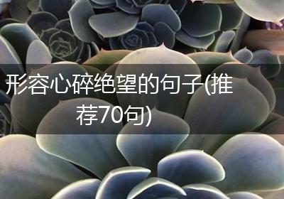 形容心碎绝望的句子(推荐70句)