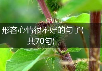 形容心情很不好的句子(共70句)