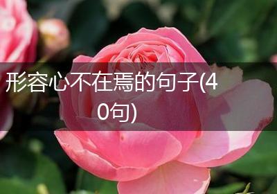 形容心不在焉的句子(40句)