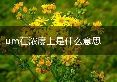 um在浓度上是什么意思