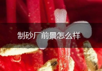 制砂厂前景怎么样