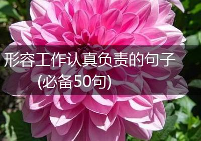 形容工作认真负责的句子(必备50句)