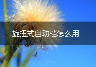 旋扭式自动档怎么用
