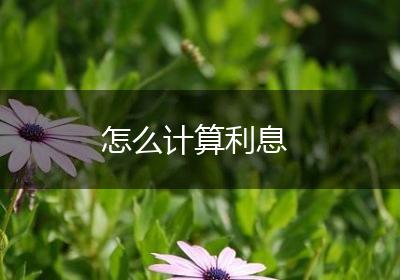 怎么计算利息