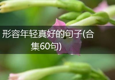 形容年轻真好的句子(合集60句)
