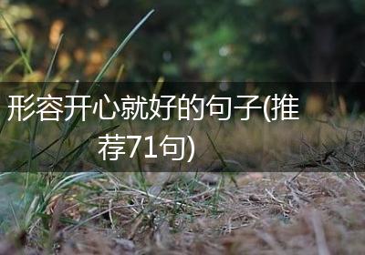 形容开心就好的句子(推荐71句)