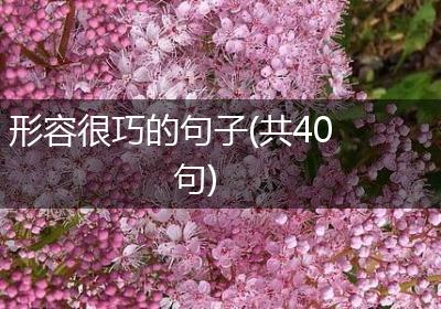 形容很巧的句子(共40句)