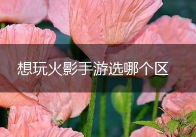 想玩火影手游选哪个区