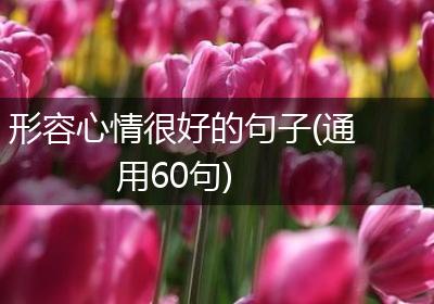 形容心情很好的句子(通用60句)