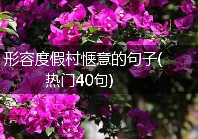 形容度假村惬意的句子(热门40句)