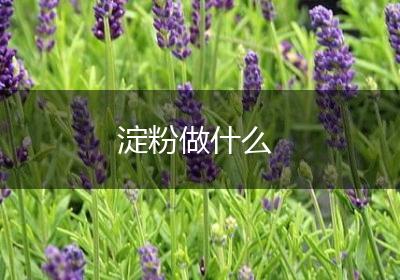 淀粉做什么