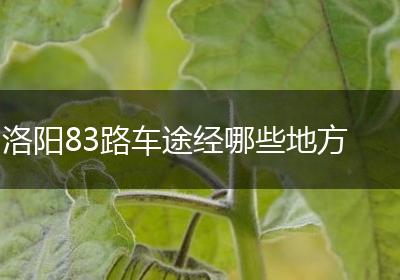 洛阳83路车途经哪些地方