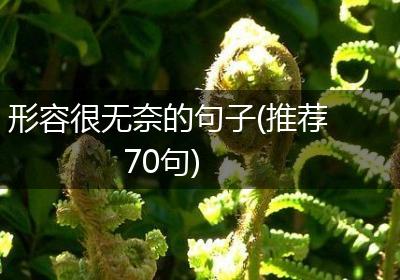 形容很无奈的句子(推荐70句)