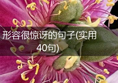 形容很惊讶的句子(实用40句)