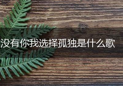 没有你我选择孤独是什么歌