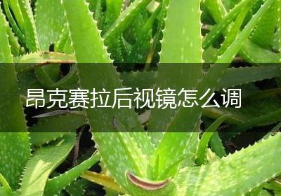 昂克赛拉后视镜怎么调