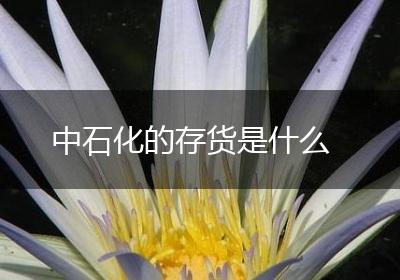 中石化的存货是什么