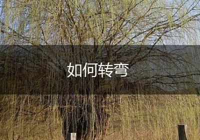 如何转弯