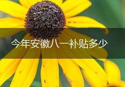 今年安徽八一补贴多少