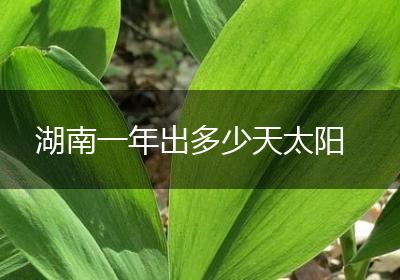 湖南一年出多少天太阳