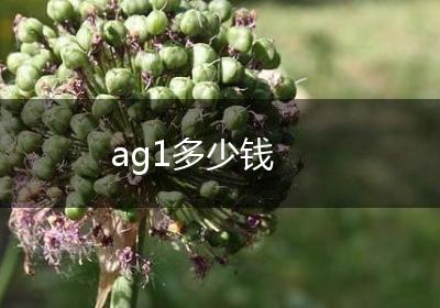 ag1多少钱