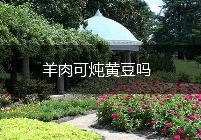 羊肉可炖黄豆吗